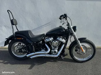 harley davidson softail standard