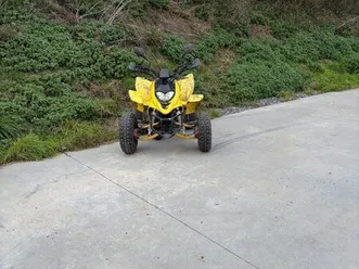 quad 250