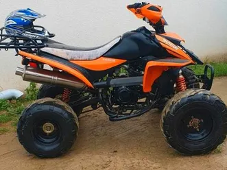 quad 250 cc pour bricoleur