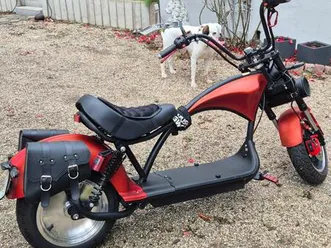 e-chopper cp4,bj2022,45-50km/h farbe matt chameleon rot- selten