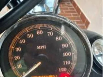 2009 harley davidson softail