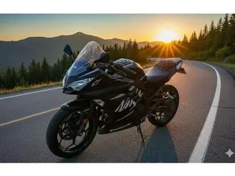 kawasaki sport 300 (ex300)