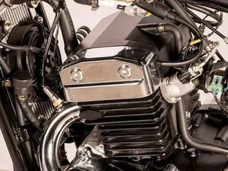 leonart / regal raptor daytona 350 cc de collection edition limitée