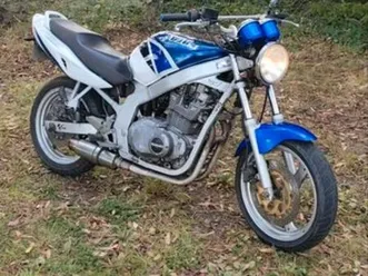suzuki 500gs