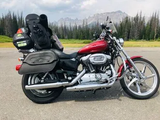 1200 custom sportster