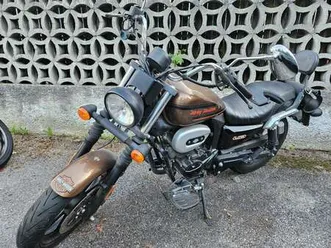 renegade sport z 125
