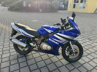 suzuki gs 500