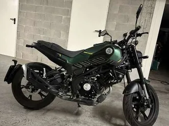benelli leoncino