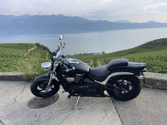 suzuki m800 intruder