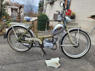 mofa monarch rarität