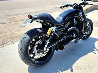 harley vrod special