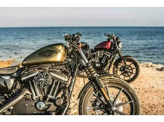 harley davidson - iron 883 sporter