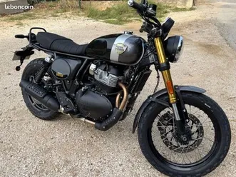 650 bear royal enflied