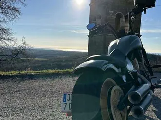 victory gunner grün