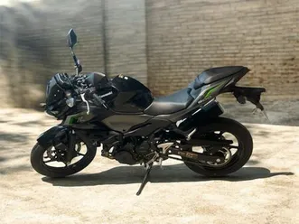 kawasaki z500 2024