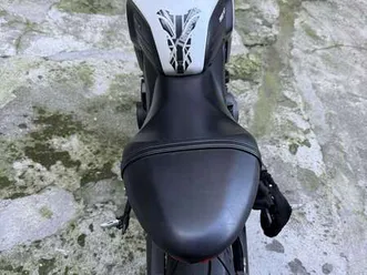 triumph trident 660 bianco