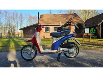 piaggio free (bastlerfahrzeug)