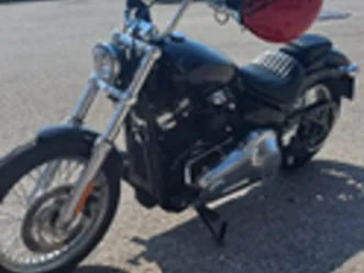 harley davidson softail standard