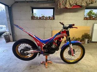 beta evo factory 300 2022