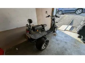 elektro dreirad trike chopper 45kmh canton bâle-ville -