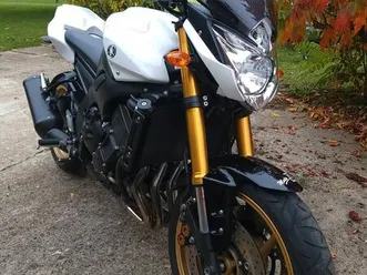 yamaha fz 800 n