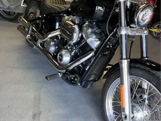 harley softail standard