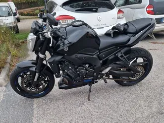 fz1