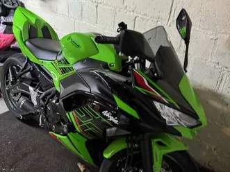 pot leovince, bulle noir, porte plaque court r&g,