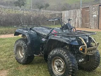 quad yamaha