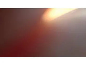 freeride e-xc (2021)