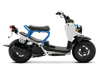 2022 honda ruckus