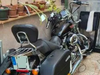 harley davidson - custom