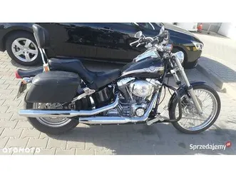 harley-davidson softail standard