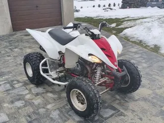 yamaha raptor 350 iskrzynia