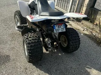 quad 250 kxr