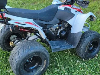 quad 50 cc homologué 1900