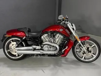 harley davidson - vrsc v-rod muscle