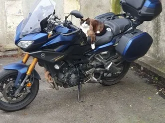 tracer 900 gt bleu phantom