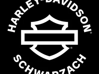 harley-davidson softail standard fxst top / sozius / sissy bar