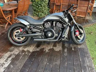 harley davidson vrod