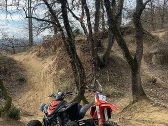 350 raptor homologué