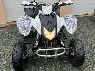 quad 300 triton baja