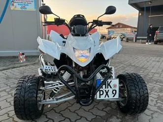 aeon cobra 400 / bremsen neu / riemen & kette neu / reifen neu