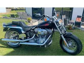 harley davidson softail standard