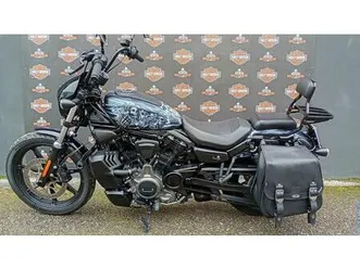 vendo harley-davidson nightster (2023 - 26) usata a riccione (codice 9927747) - moto.it