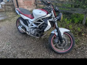 suzuki, sfv, 2010, 645 (cc)