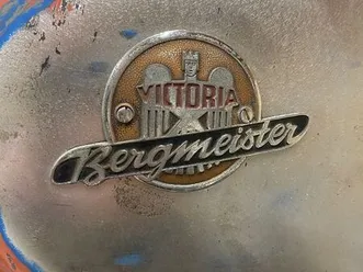 victoria bergmeister v35