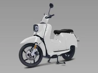 e-schwalbe 50 refurbed 45 km/h bis zu 100 km reichweite bei