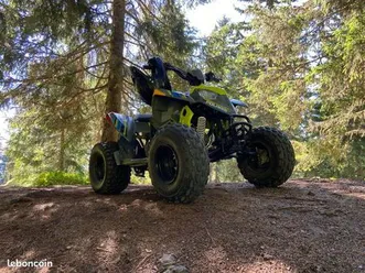 quad polaris 110