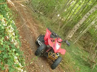 quad 250 kxr